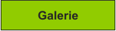 Galerie